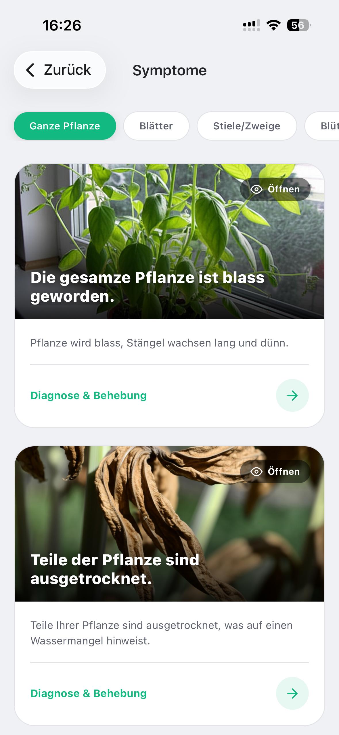 PlantDoctor Symptome